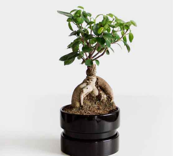 免费ddos平台攻击